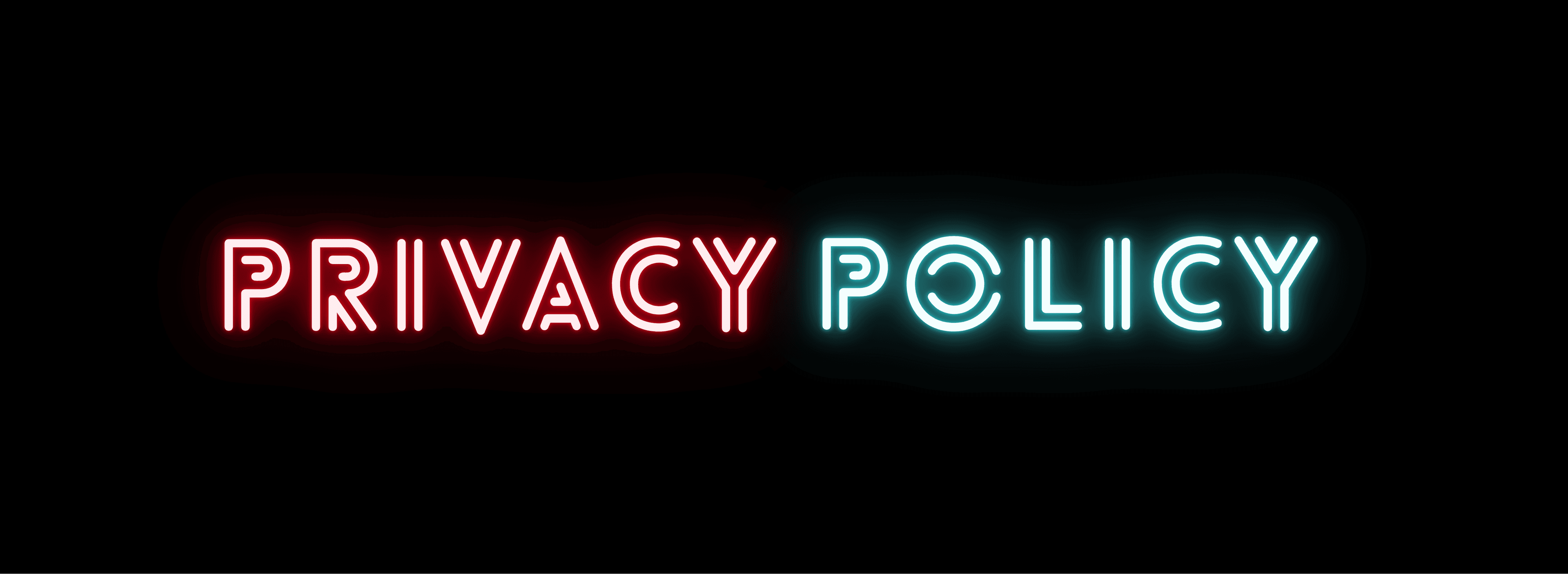 PRIVACY POLICY